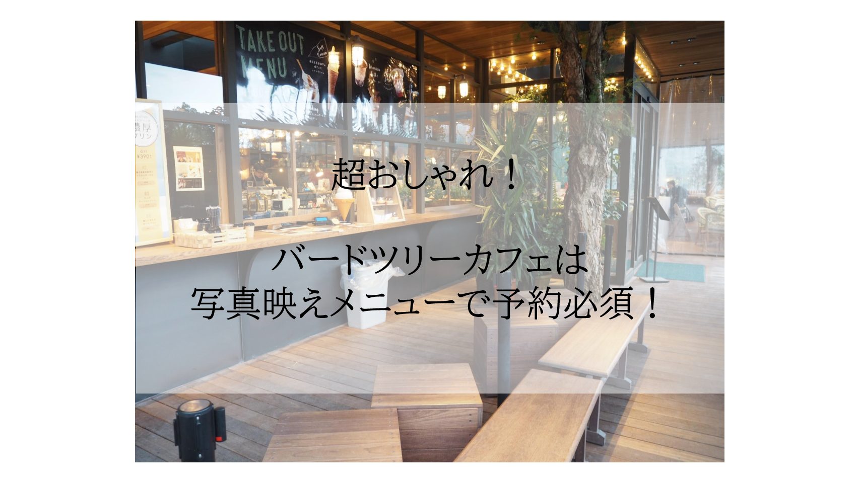 【大阪/南千里】超おしゃれ!バードツリーカフェは写真映え ...