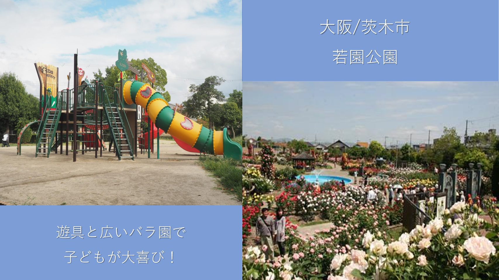 大阪 茨木 若園バラ公園は遊具と広いバラ園で子どもが大喜び おでかけ大好き ちゃんママブログ