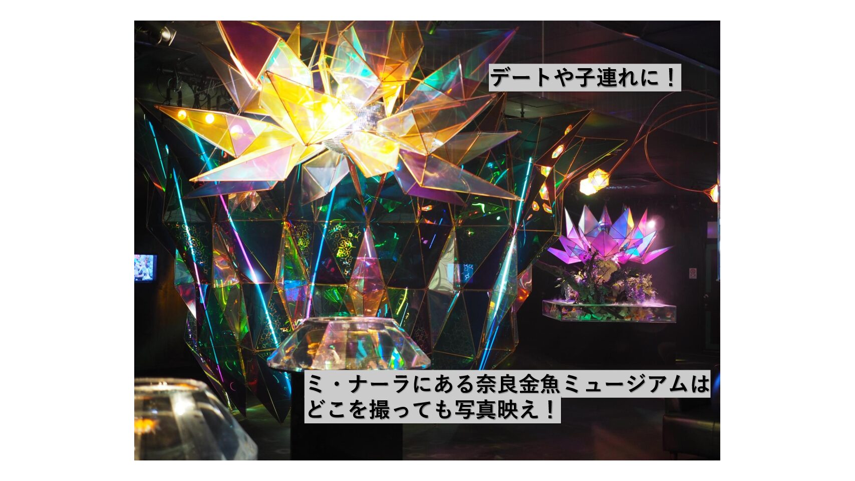 デートや子連れに ミ ナーラにある奈良金魚ミュージアムはどこを撮っても写真映え おでかけ大好き ちゃんママブログ
